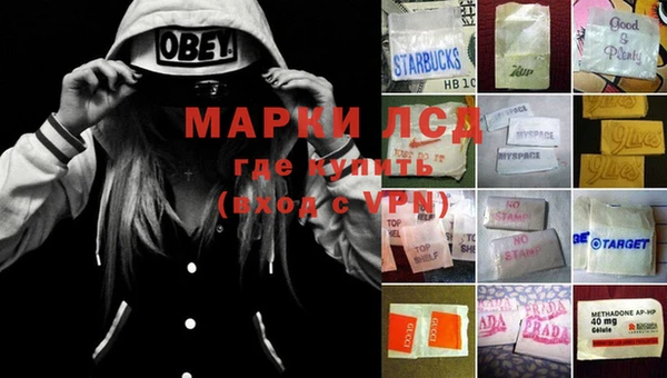 spice Мегион