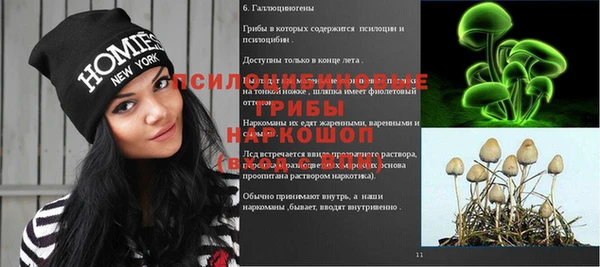 spice Мегион
